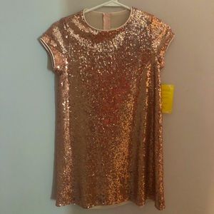 Light Pink Sequin Dress